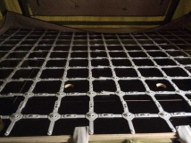 Gordigear goes Humbaur 132512-5