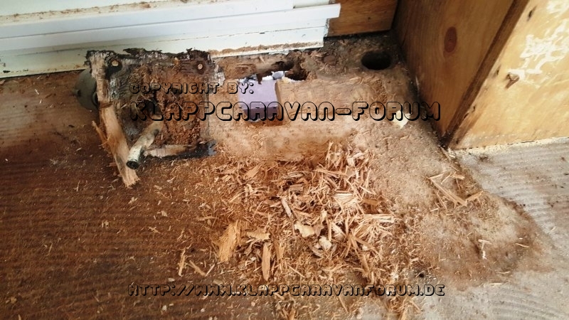 Paradiso 345 VI Umbau