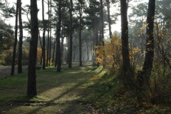 Dünencamp Karlshagen Usedom - Stellplätze an der Stranddüne