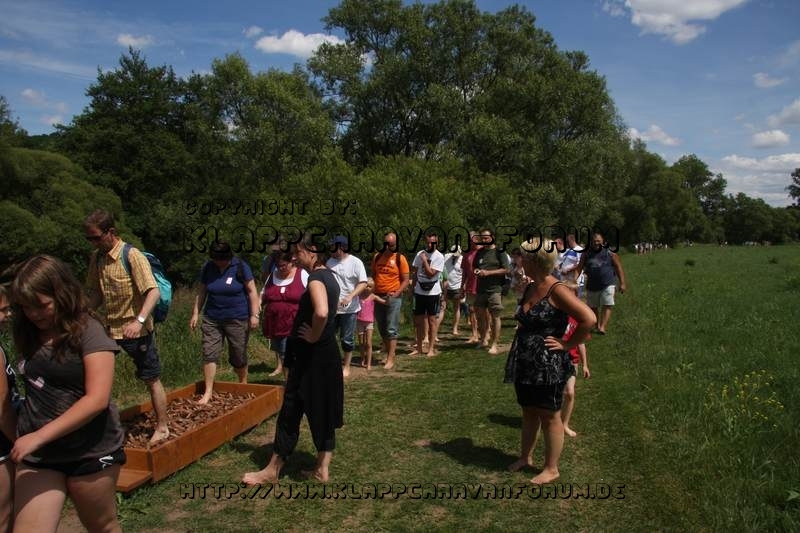 Nahe am Sommer 2011 - Monzingen - Barfußpfad Bad Sobernheim - Marterkiste Kiefernzapfen