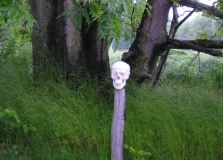 Rätselbild - Spätzünder