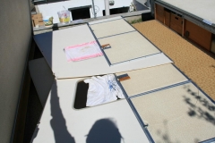 Rapido Export Aufbau