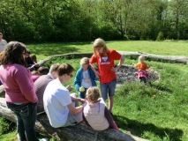 Dransfeld2012 (4)