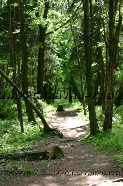 Dransfeld2012 (71)