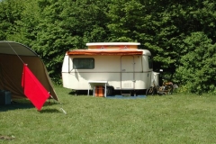 Nahe am Sommer IV 2013