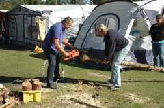 Holz 1