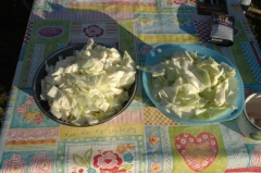 Kohltopf 1