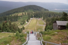 Rätselbild Jasper
