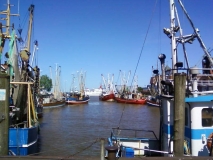 In welchem Hafen liegen die Schiffe